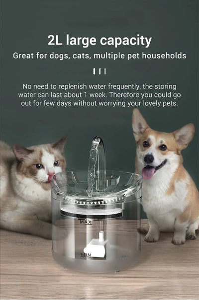 Smart USB Pet Fountain – Filtered, sensor-activated.