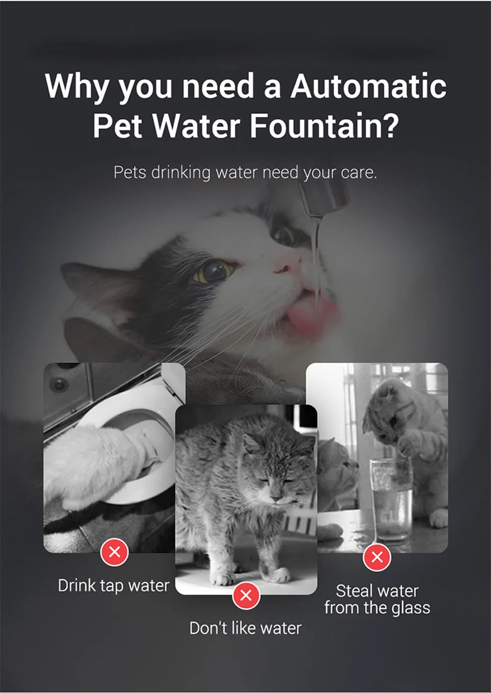 Smart USB Pet Fountain – Filtered, sensor-activated.