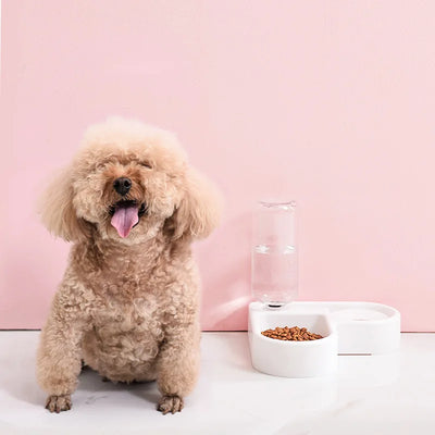 Double Pet Bowl – Food & water set for cats and small dogs.