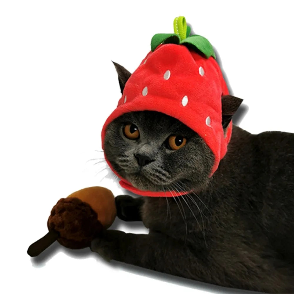 Cute Fruit Pet Hat – Soft, comfy, funny cap for cats & small dogs.