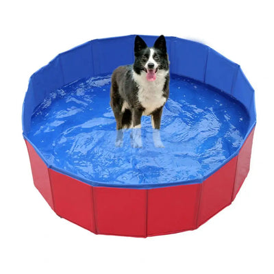 Collapsible Pet Bath Tub – Interactive pool for cats & dogs.