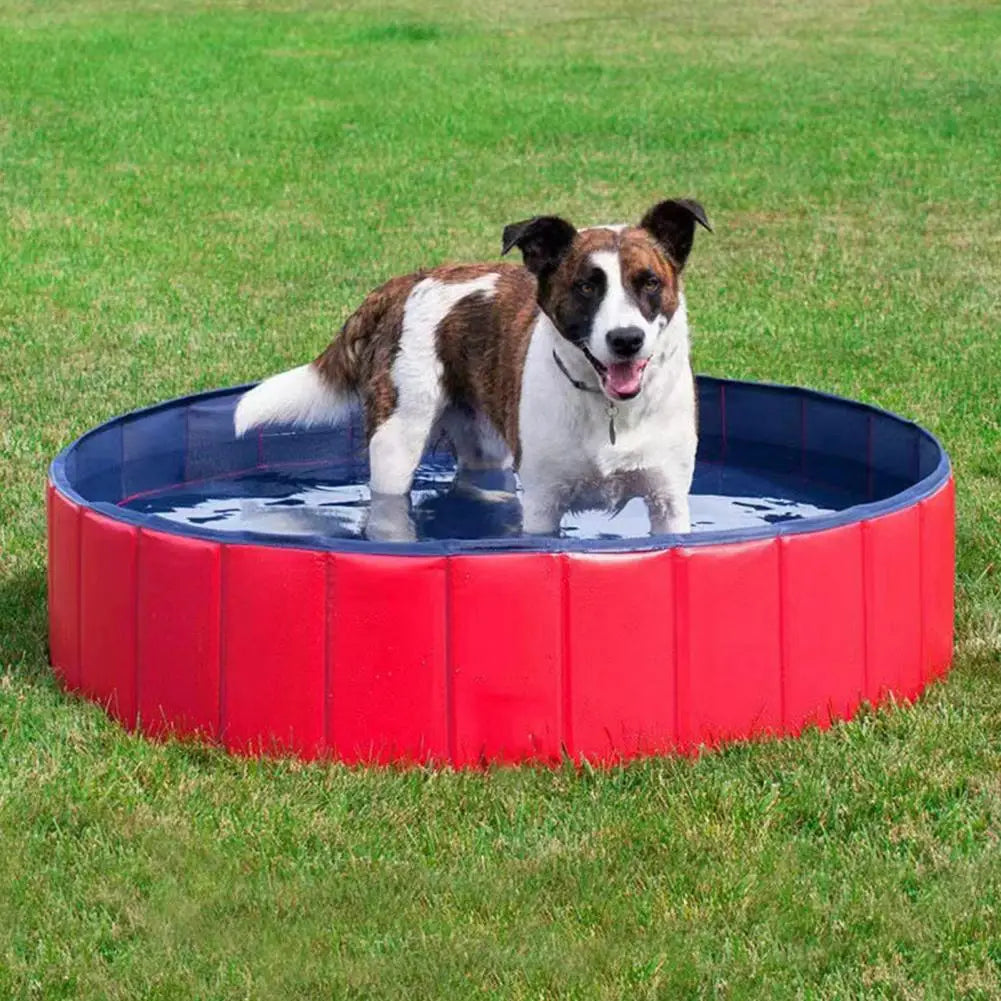 Collapsible Pet Bath Tub – Interactive pool for cats & dogs.