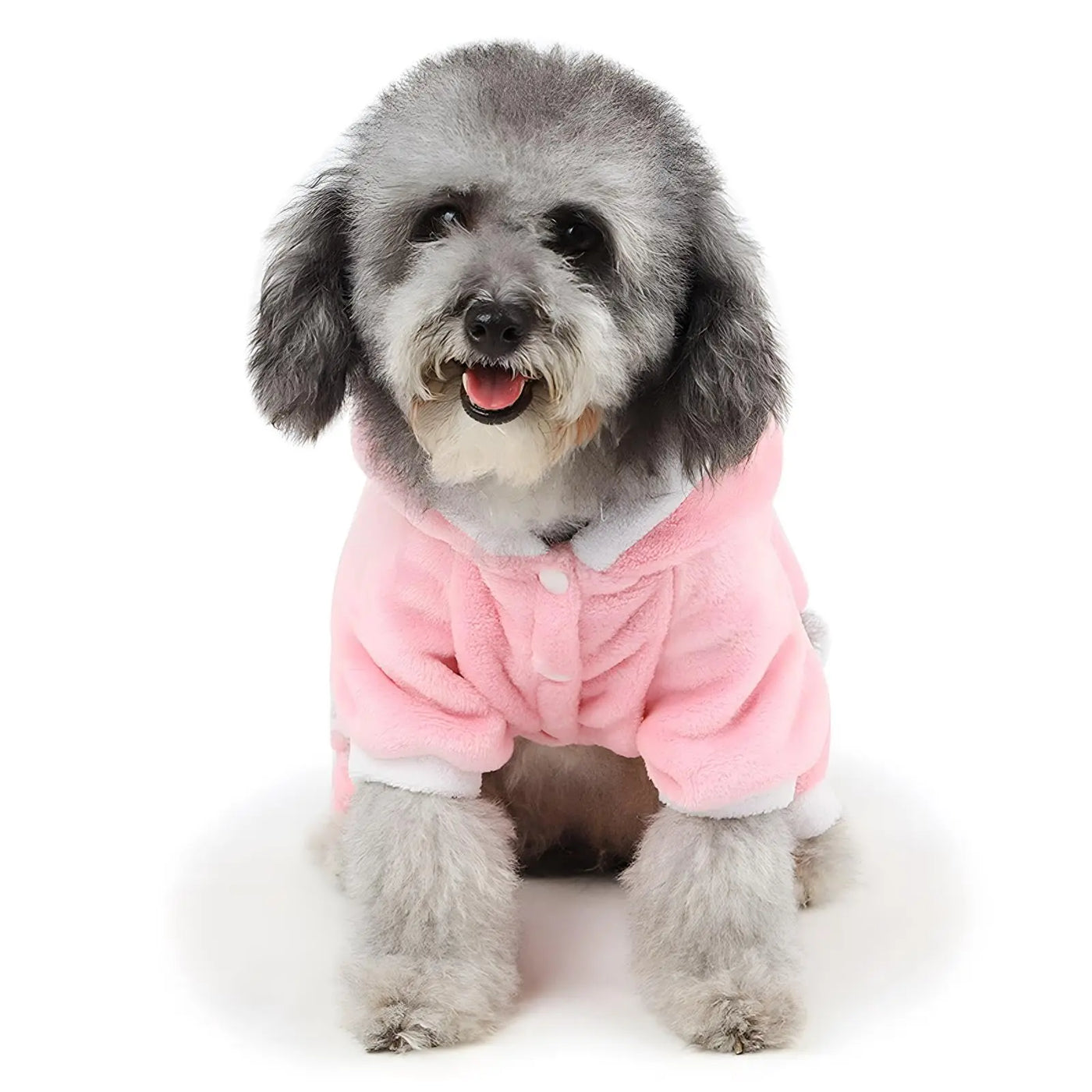 Piggy Pet Sweater – Warm knit for cats & dogs.