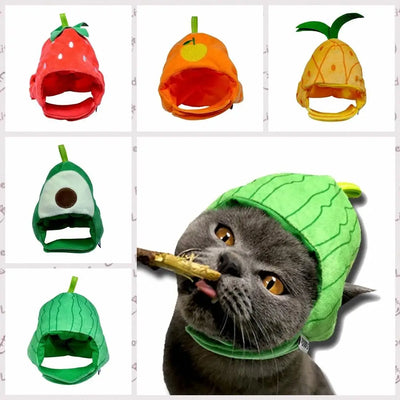 Cute Fruit Pet Hat – Soft, comfy, funny cap for cats & small dogs.