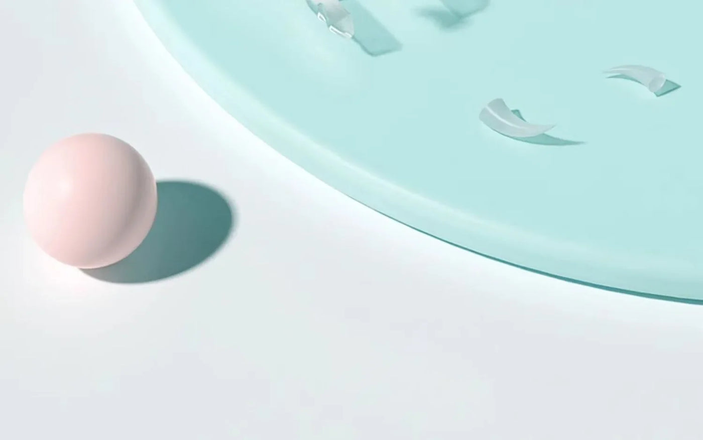 Pet Nail Clippers – For cats & dogs.