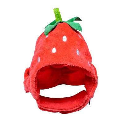 Cute Fruit Pet Hat – Soft, comfy, funny cap for cats & small dogs.