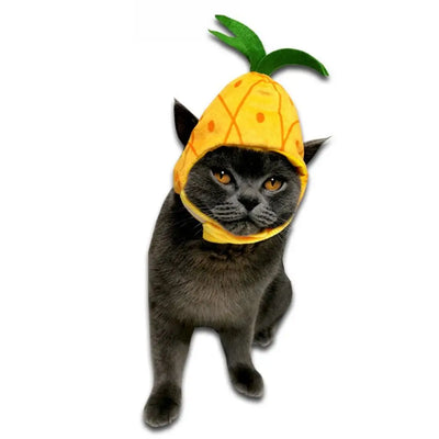 Cute Fruit Pet Hat – Soft, comfy, funny cap for cats & small dogs.