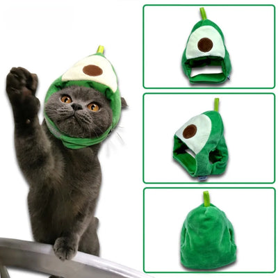 Cute Fruit Pet Hat – Soft, comfy, funny cap for cats & small dogs.