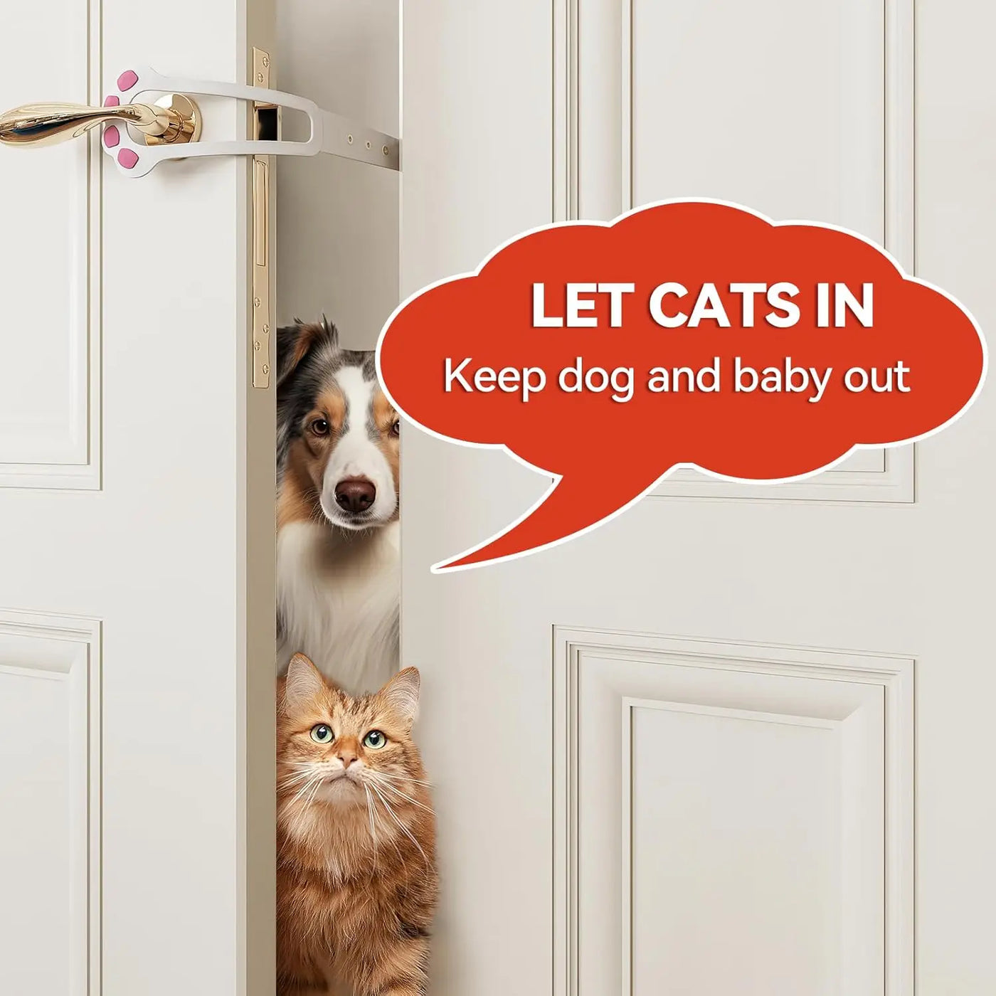 Aviour adjustable cat door latch installed on a white door preventing a dog and baby from entering while letting cats in