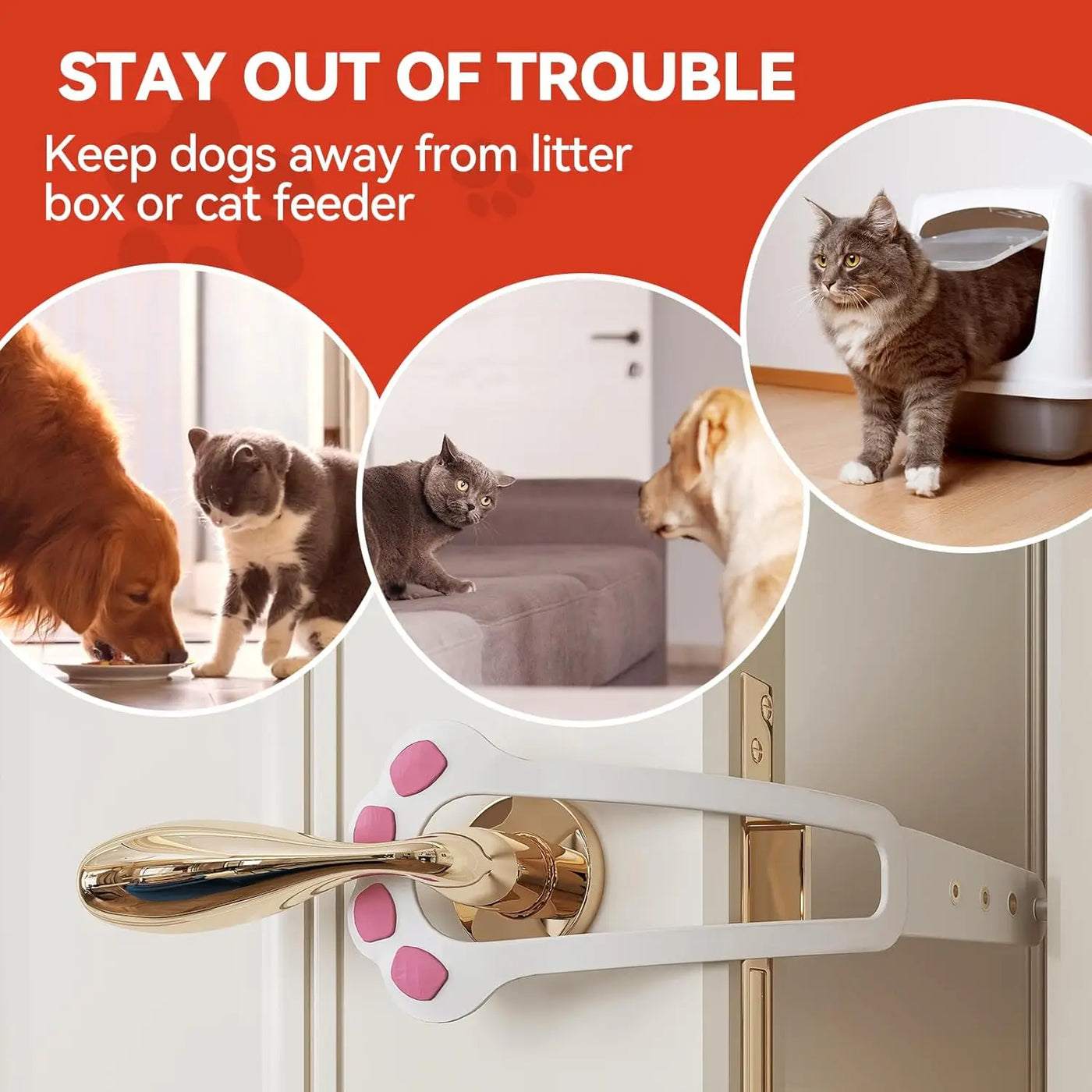 Aviour adjustable cat door latch installed on door with cats and dogs near litter box and feeder