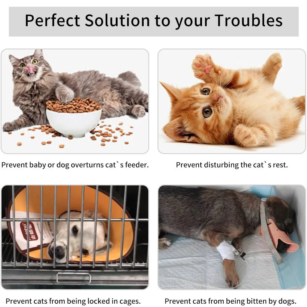 Aviron adjustable cat door latch preventing pets from overturning feeders, disturbing rest, locking in cages, or dog bites