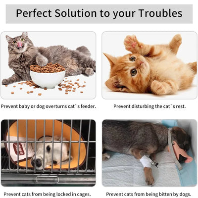 Aviron adjustable cat door latch preventing pets from overturning feeders, disturbing rest, locking in cages, or dog bites