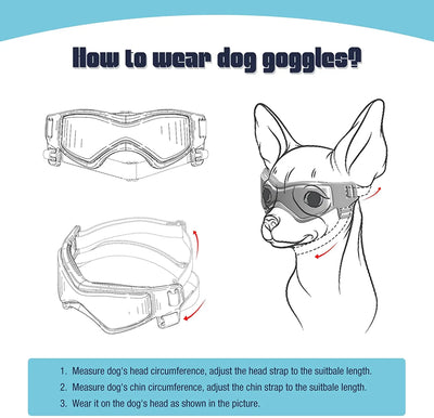 Illustration showing how to wear adjustable pet goggles on a dog's head with step-by-step strap adjustment instructions