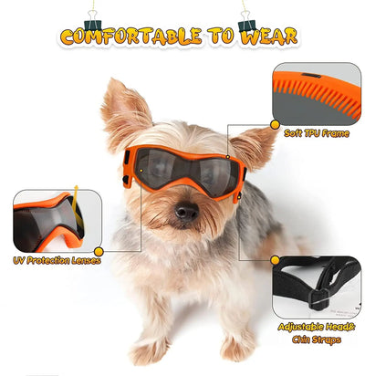Small dog wearing Aviour orange adjustable pet goggles with UV protection lenses and adjustable head and chin straps