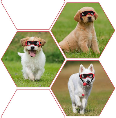 Three dogs wearing Aviour adjustable pet goggles outdoors on grass in different poses