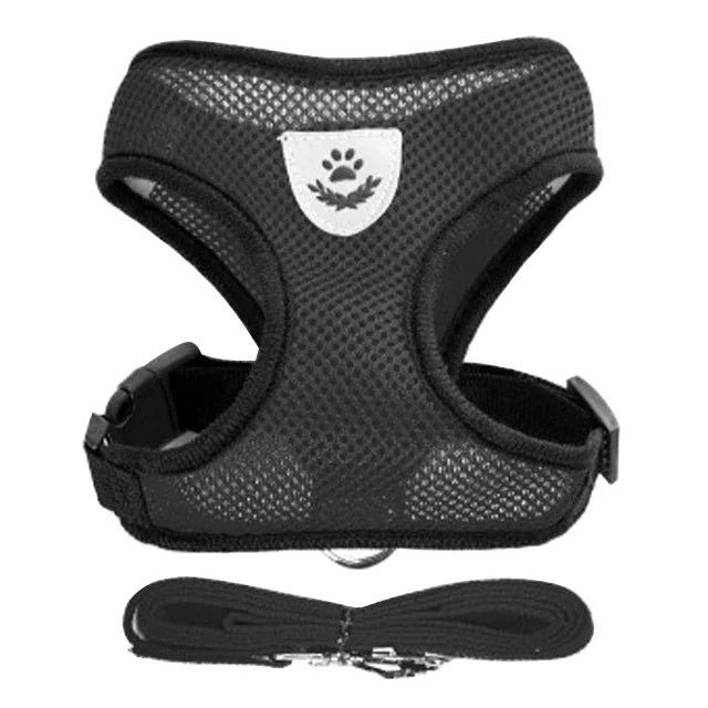 Black Aviour adjustable pet harness for cats and dogs with breathable mesh and matching leash