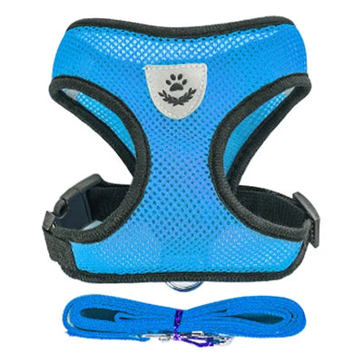 Aviour blue adjustable pet harness for cats and dogs with breathable mesh and matching leash