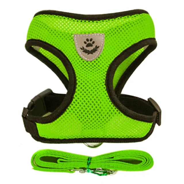 Aviour bright green breathable adjustable pet harness for cats and dogs with matching leash