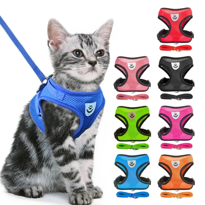 Adjustable pet harness for cats and dogs in multiple colors with leash by Aviour