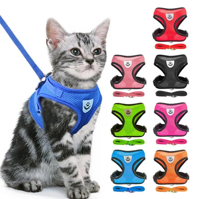 Adjustable pet harness for cats and dogs in multiple colors with leash by Aviour