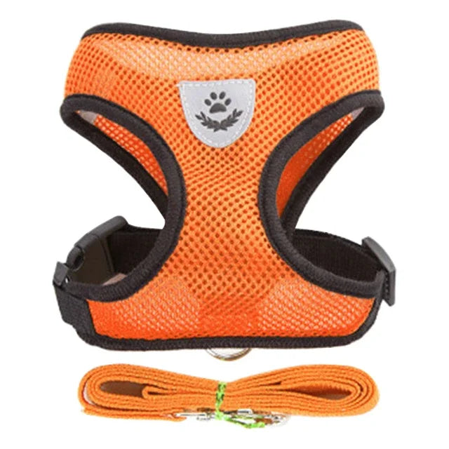 Aviour orange adjustable pet harness for cats and dogs with breathable mesh and matching leash