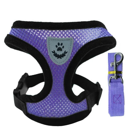 Purple adjustable pet harness for cats and dogs with breathable mesh and matching leash