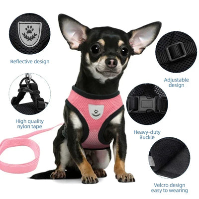 A small dog wearing a pink adjustable pet harness for cats and dogs with reflective design and heavy-duty buckle
