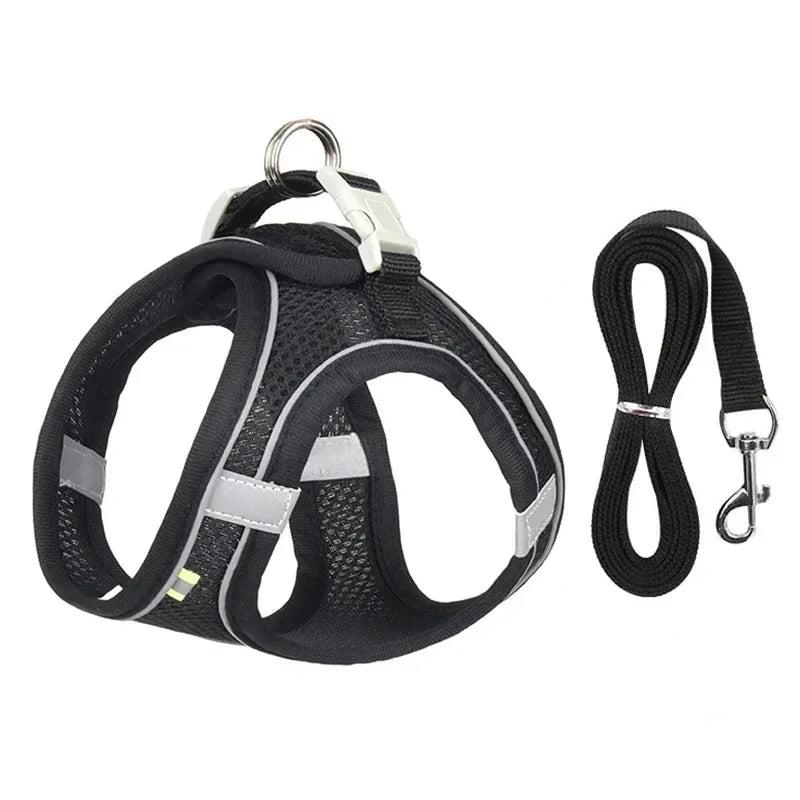 Aviour black adjustable pet harness vest with reflective strips and matching leash for small dogs