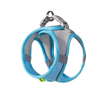 Aviour adjustable pet harness vest in blue and gray mesh with secure buckle and metal ring