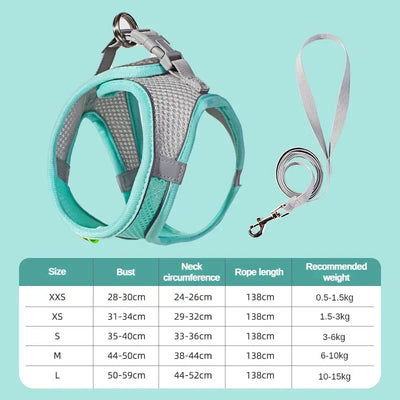 Aviour adjustable pet harness vest in teal with matching leash and size chart for small pets