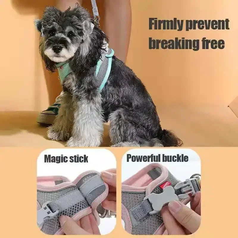 Adjustable pet harness vest on a small dog showing magic stick and powerful buckle features