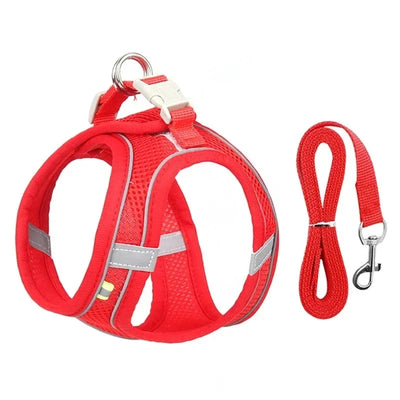 Aviour adjustable pet harness vest in red with breathable mesh and matching red leash