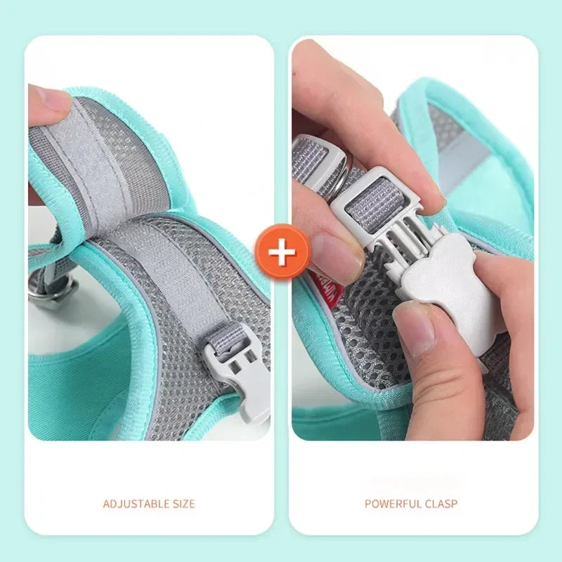 Aviour adjustable pet harness vest in light blue showing adjustable size and powerful clasp features