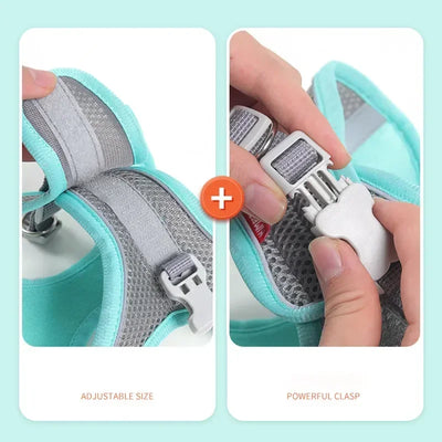 Aviour adjustable pet harness vest in light blue showing adjustable size and powerful clasp features