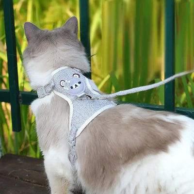 Cat wearing Aviour adjustable undershirt harness for pets in gray with cute bear design and leash attached
