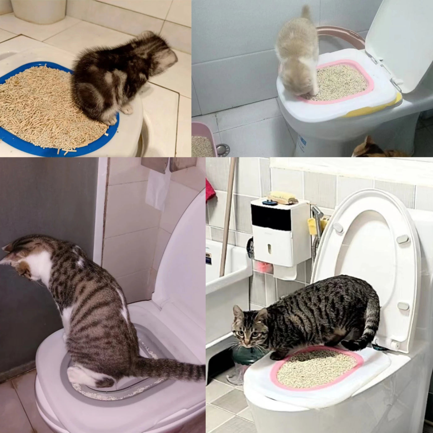 Cat and dog sand tray toilet placed on toilets with cats using them in various bathroom settings