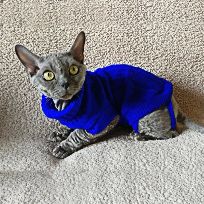 Hairless cat wearing a blue Aviour cat sweater for hairless cats sitting on a textured surface