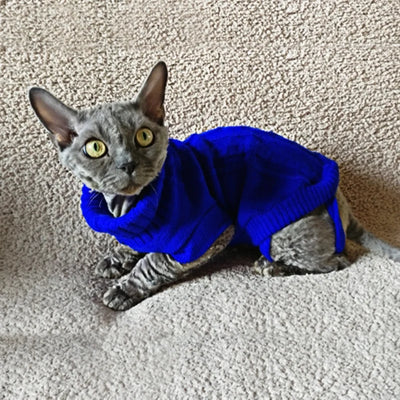 Hairless cat wearing a blue Aviour cat sweater for hairless cats sitting on a textured surface