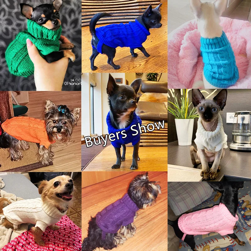 Aviour cat sweater for hairless cats and small dogs in various colors and knit designs