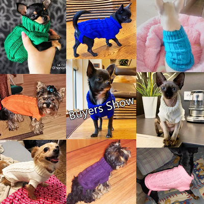 Aviour cat sweater for hairless cats and small dogs in various colors and knit designs
