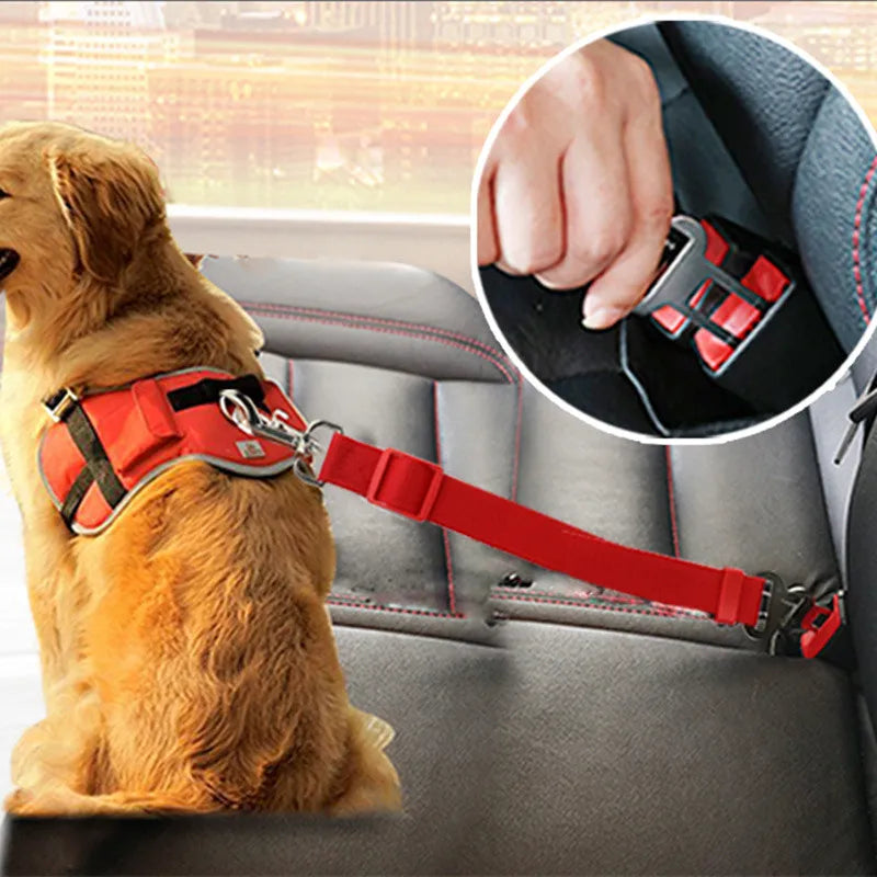 Dog car seat belt for travel with red harness securing a golden retriever in a car backseat