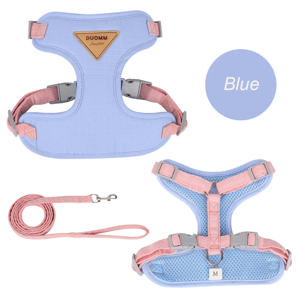 Blue adjustable harness for puppies and kittens with pink straps and matching leash by Aviour