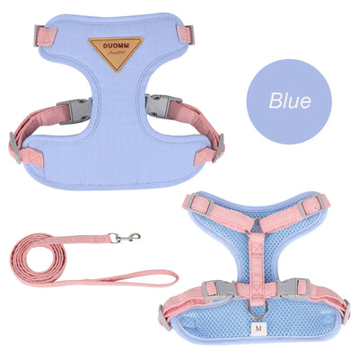 Blue adjustable harness for puppies and kittens with pink straps and matching leash by Aviour