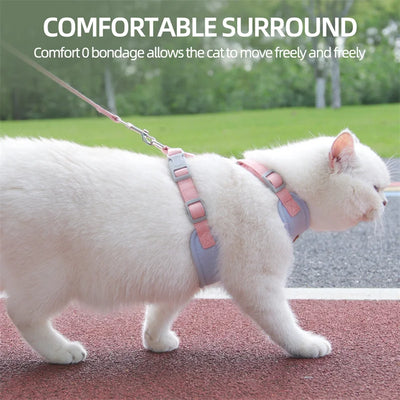 White cat wearing Aviour adjustable harness for puppies and kittens walking outdoors on a leash