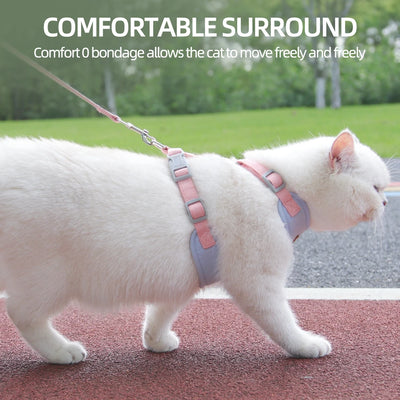 White cat wearing a pink and gray adjustable harness for puppies and kittens walking outside on a leash