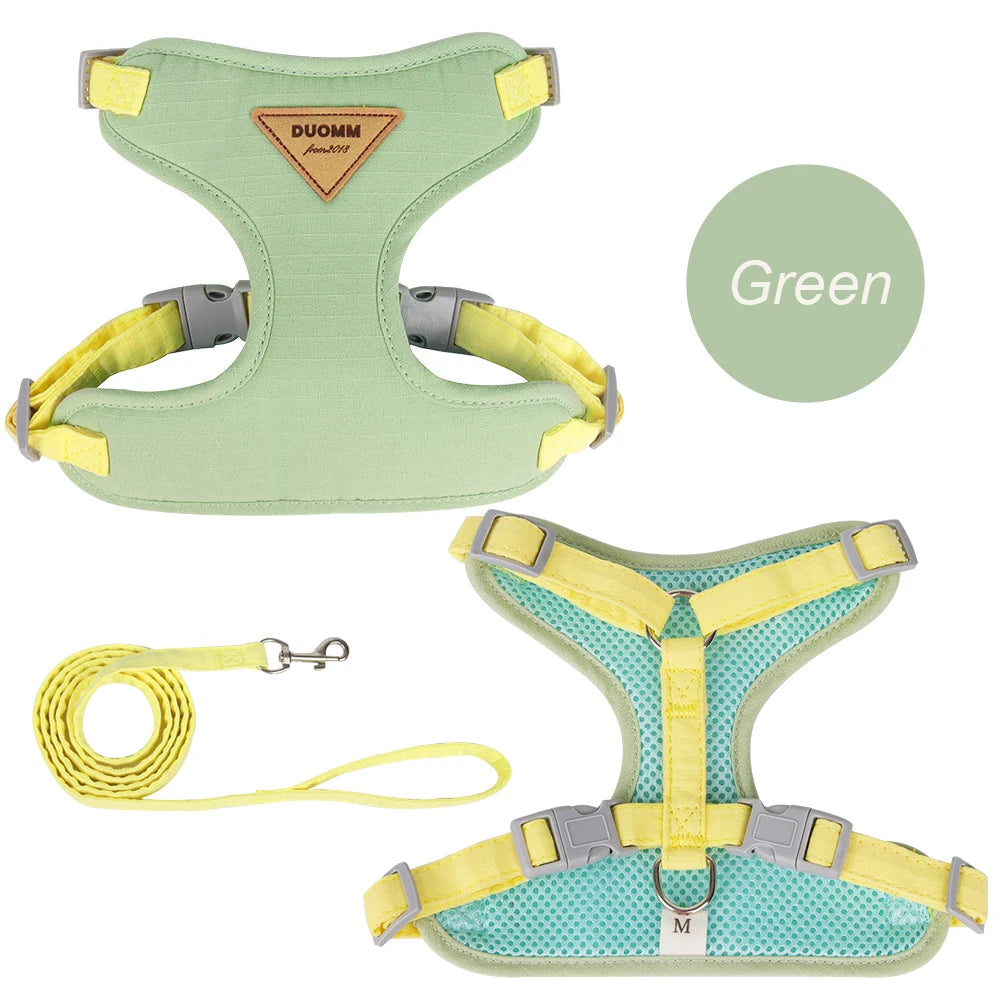 Green adjustable harness for puppies and kittens with yellow straps and matching leash by Aviour