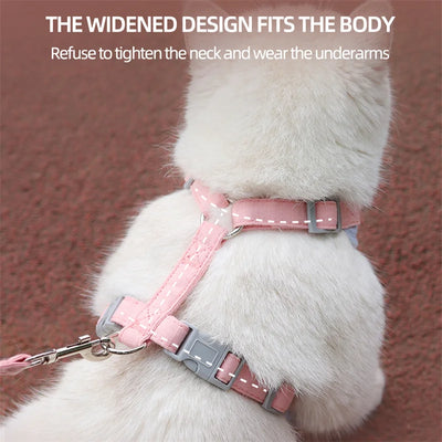 Aviour adjustable harness for puppies and kittens in pink with secure buckles on a white puppy
