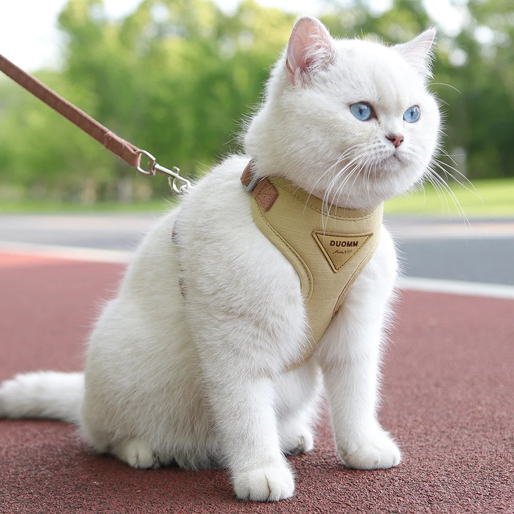 White cat wearing a beige adjustable harness for puppies and kittens sitting outdoors on a red track