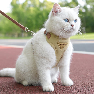 White cat wearing a beige adjustable harness for puppies and kittens sitting outdoors on a red track
