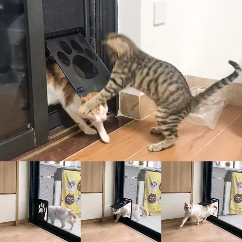 Aviour lockable pet door for windows shown with cats using the door to enter and exit through a window